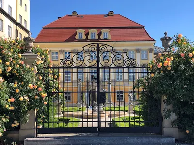 Przewodnik po Wrocławiu Artur Domański